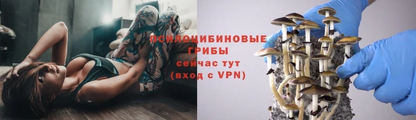 гидропоника Аркадак
