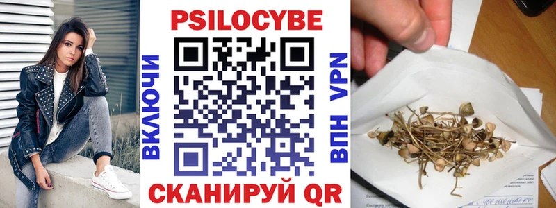 Псилоцибиновые грибы мицелий  где купить   Почеп 
